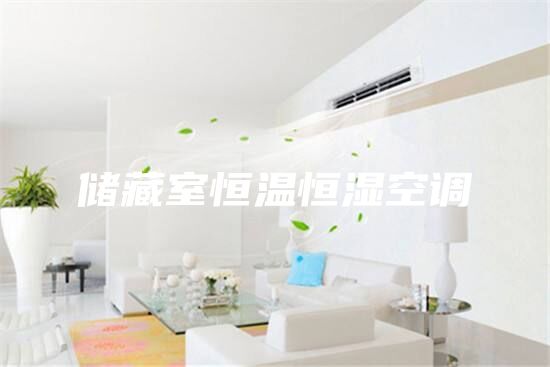 儲(chǔ)藏室恒溫恒濕空調(diào)