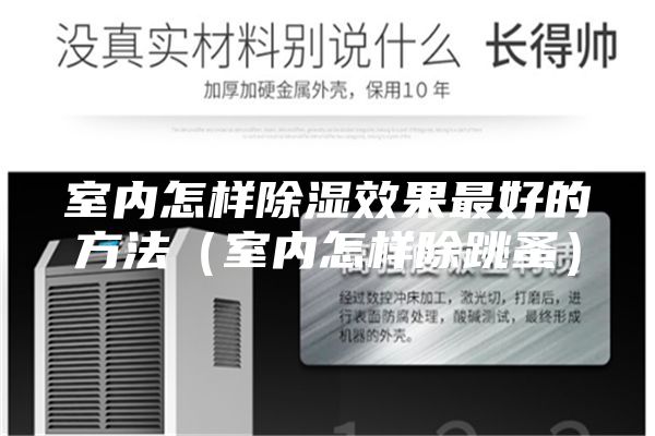 室內(nèi)怎樣除濕效果最好的方法(室內(nèi)怎樣除跳蚤)