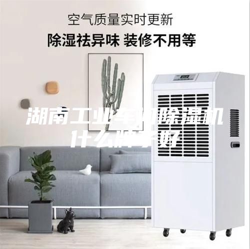 湖南工業(yè)車間除濕機什么牌子好