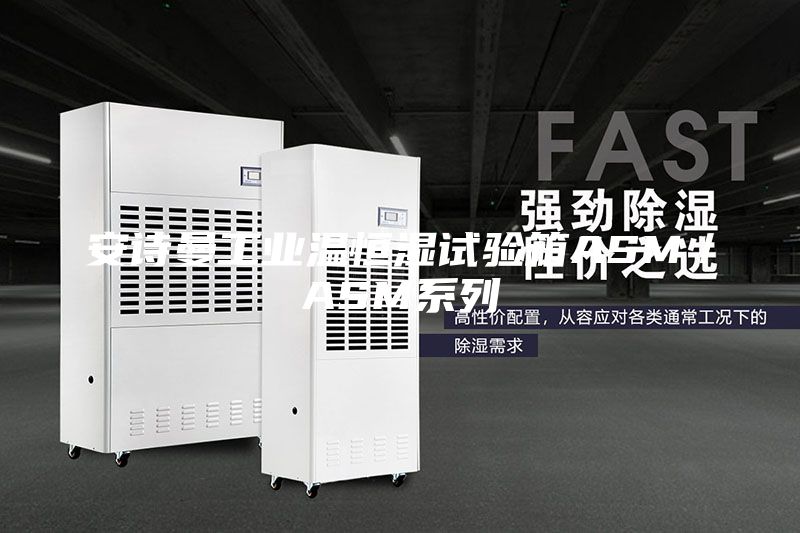 安詩(shī)曼工業(yè)溫恒濕試驗(yàn)箱ASM/ASM系列