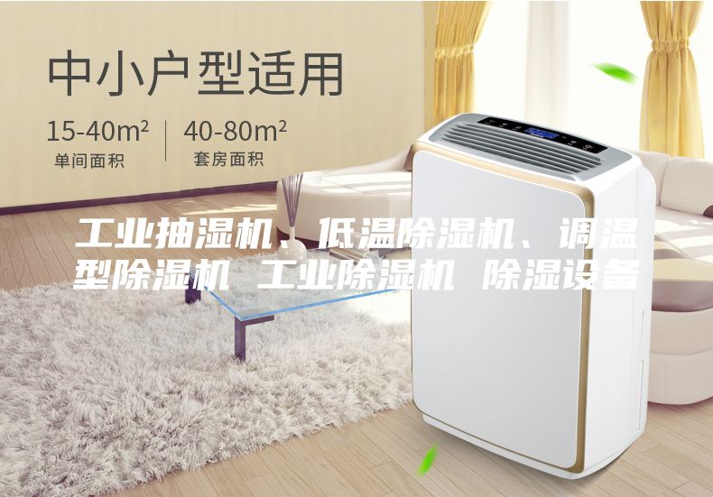 工業(yè)抽濕機(jī)、低溫除濕機(jī)、調(diào)溫型除濕機(jī) 工業(yè)除濕機(jī) 除濕設(shè)備