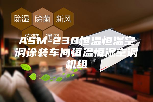 ASM-230恒溫恒濕空調(diào)涂裝車間恒溫恒濕空調(diào)機組
