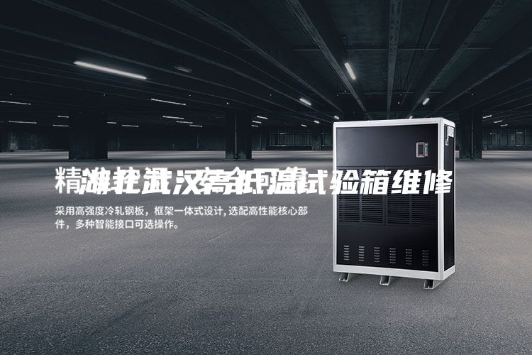 湖北武漢高低溫試驗(yàn)箱維修