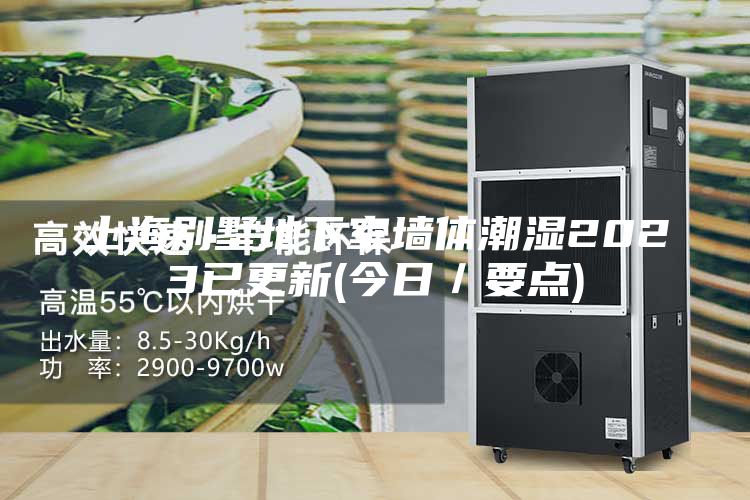 上海別墅地下室墻體潮濕2023已更新(今日/要點(diǎn))