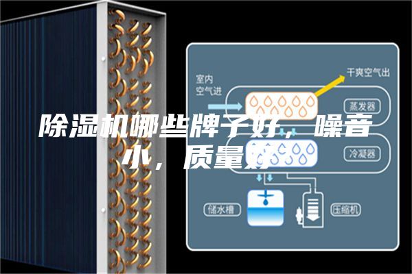 除濕機(jī)哪些牌子好，噪音小，質(zhì)量好？