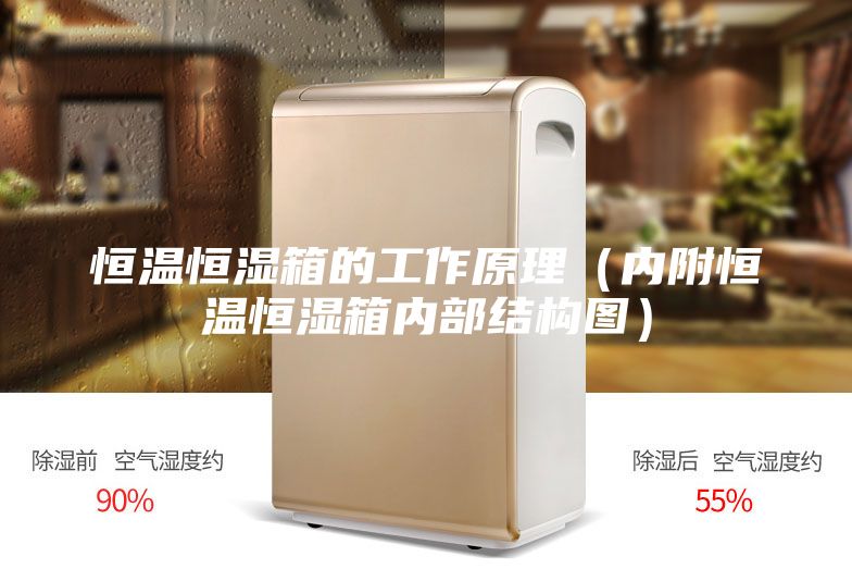 恒溫恒濕箱的工作原理(內(nèi)附恒溫恒濕箱內(nèi)部結(jié)構(gòu)圖)