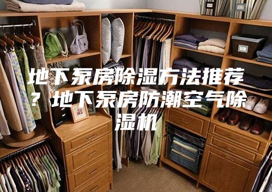 地下泵房除濕方法推薦?地下泵房防潮空氣除濕機(jī)