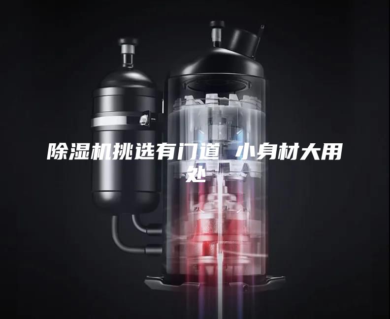 除濕機(jī)挑選有門道 小身材大用處
