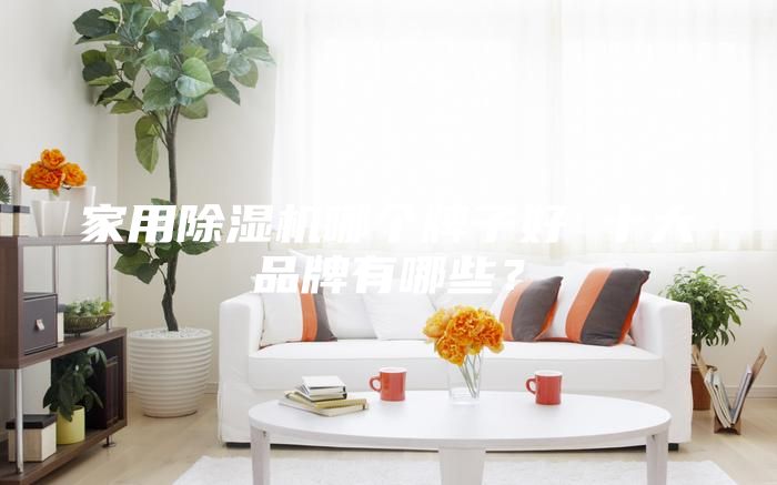 家用除濕機(jī)哪個牌子好 十大品牌有哪些？