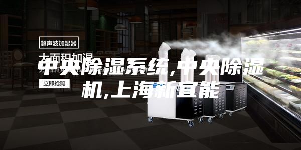 中央除濕系統(tǒng),中央除濕機,上海新宜能