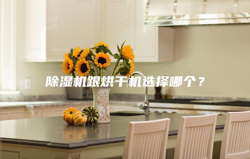 除濕機跟烘干機選擇哪個？