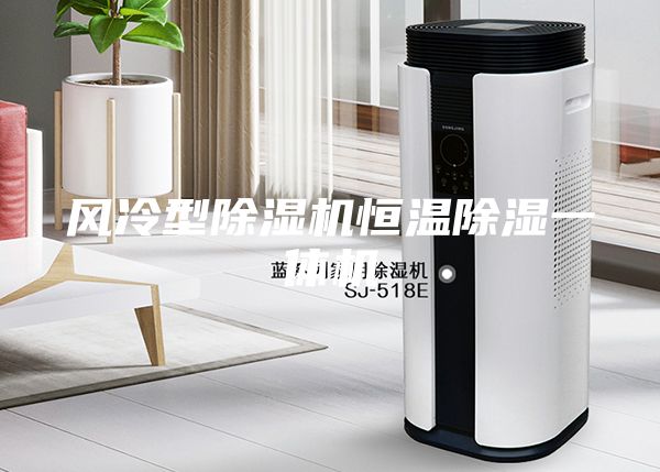 風(fēng)冷型除濕機恒溫除濕一體機