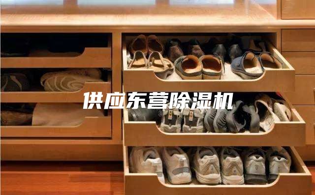 供應(yīng)東營(yíng)除濕機(jī)