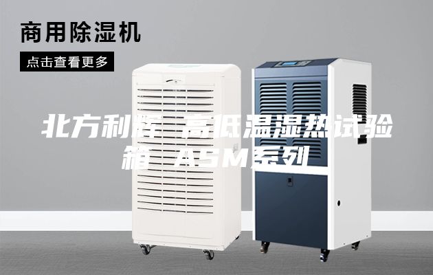 北方利輝 高低溫濕熱試驗(yàn)箱 ASM系列