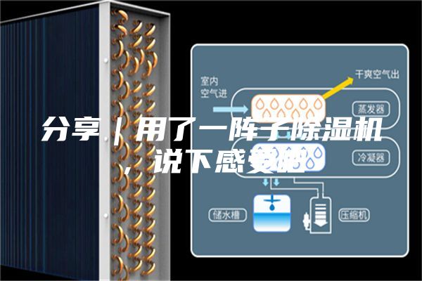 分享｜用了一陣子除濕機(jī)，說下感受吧