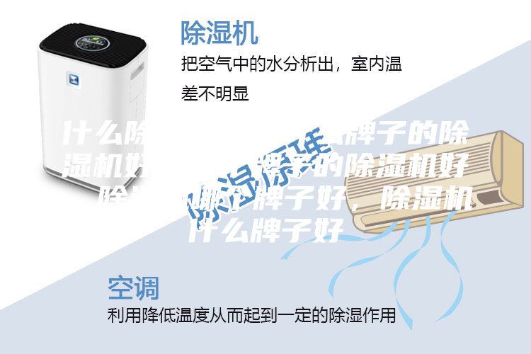 什么除濕機好，什么牌子的除濕機好，哪個牌子的除濕機好，除濕機哪個牌子好，除濕機什么牌子好