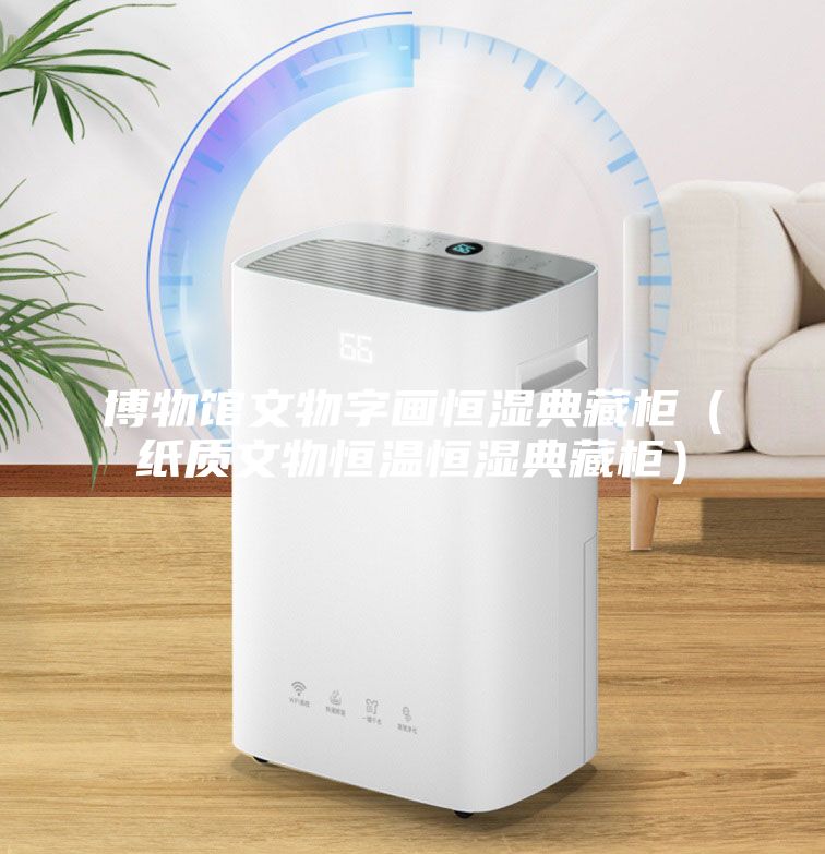 博物館文物字畫(huà)恒濕典藏柜（紙質(zhì)文物恒溫恒濕典藏柜）