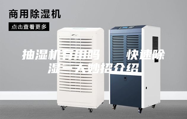 抽濕機(jī)有用嗎 快速除濕三大妙招介紹