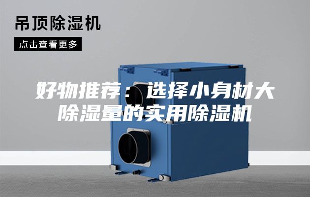 好物推薦:選擇小身材大除濕量的實(shí)用除濕機(jī)