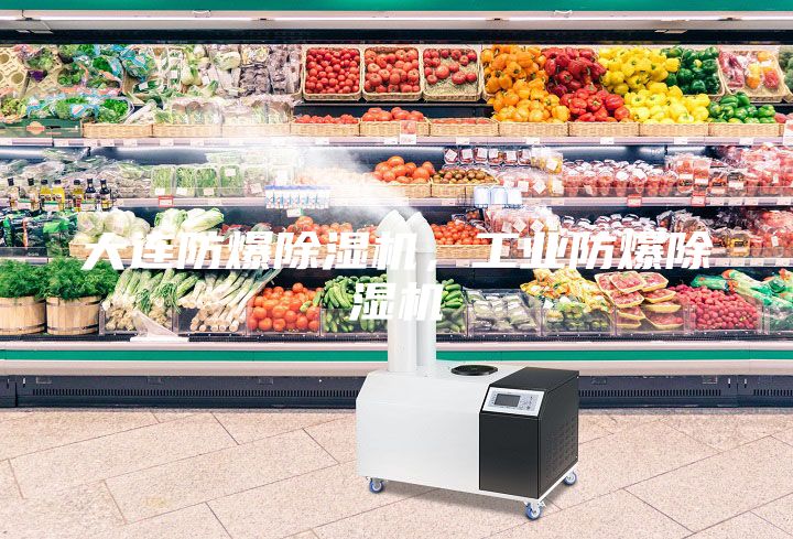 大連防爆除濕機(jī)，工業(yè)防爆除濕機(jī)