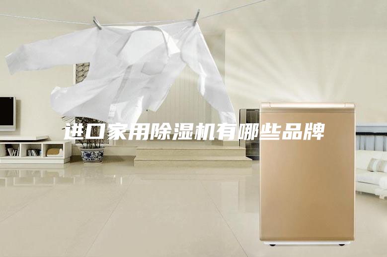 進(jìn)口家用除濕機(jī)有哪些品牌