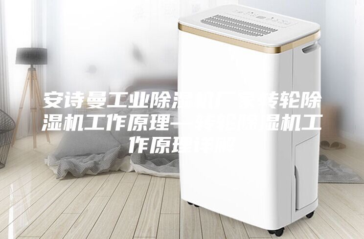 安詩曼工業(yè)除濕機廠家轉(zhuǎn)輪除濕機工作原理—轉(zhuǎn)輪除濕機工作原理詳解
