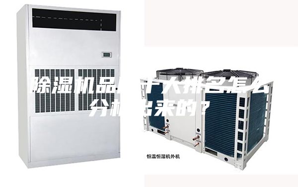 除濕機(jī)品牌十大排名怎么分析出來的？