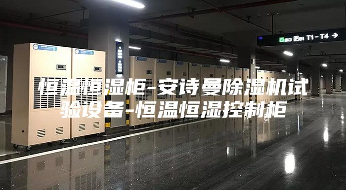 恒溫恒濕柜-安詩(shī)曼除濕機(jī)試驗(yàn)設(shè)備-恒溫恒濕控制柜