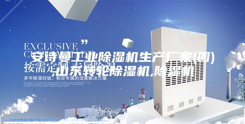 安詩(shī)曼工業(yè)除濕機(jī)生產(chǎn)廠(chǎng)家(圖),山東轉(zhuǎn)輪除濕機(jī),除濕機(jī)