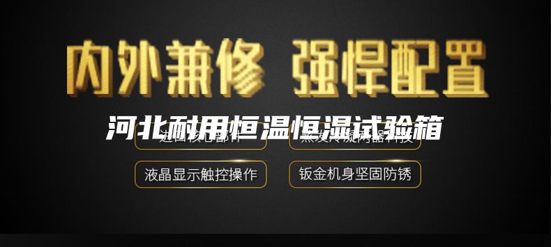 河北耐用恒溫恒濕試驗(yàn)箱