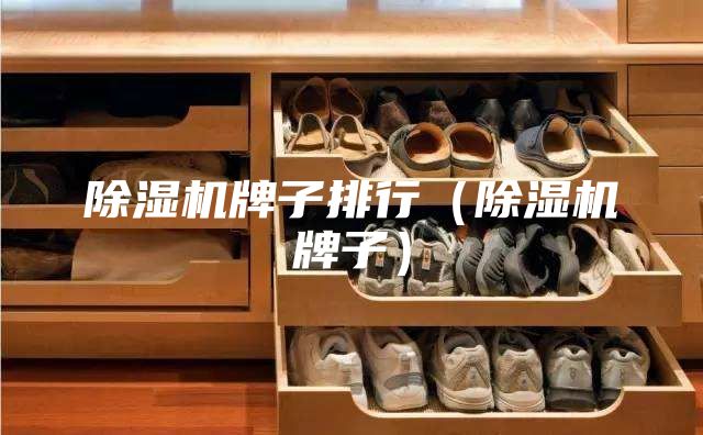 除濕機(jī)牌子排行(除濕機(jī)牌子)