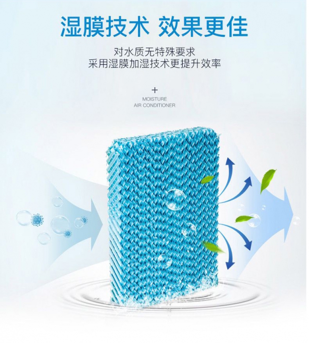 潮濕季，食材／貴重物品該防潮防霉防蟲，你不知道的秘密！