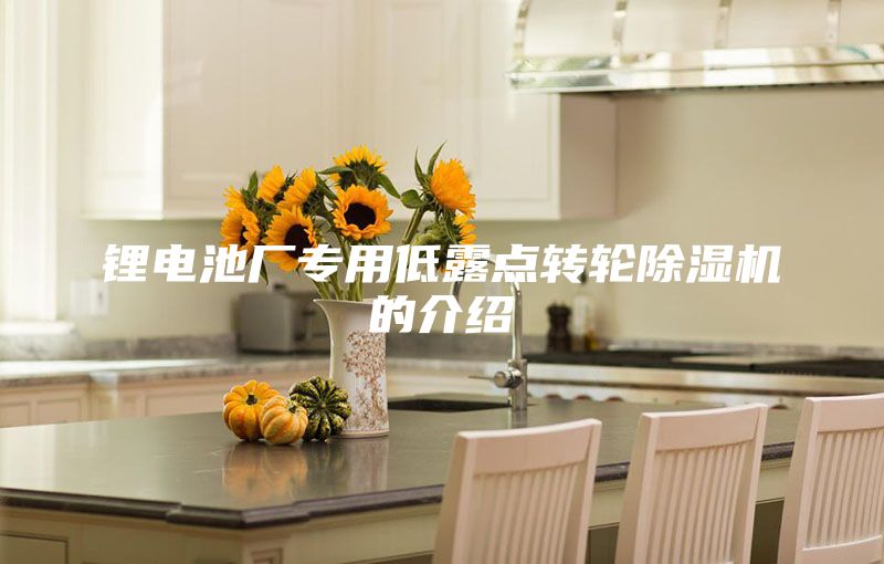 鋰電池廠專用低露點(diǎn)轉(zhuǎn)輪除濕機(jī)的介紹