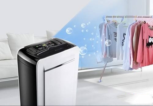 芒果烘干除濕機，芒果烘干除濕一體機