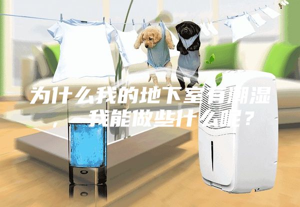 為什么我的地下室有潮濕， 我能做些什么呢？