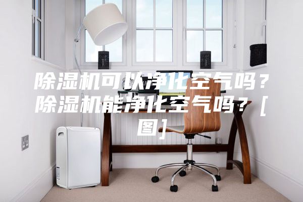 除濕機(jī)可以凈化空氣嗎？除濕機(jī)能凈化空氣嗎？[圖]