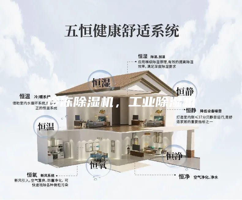 冷凍除濕機，工業(yè)除濕機