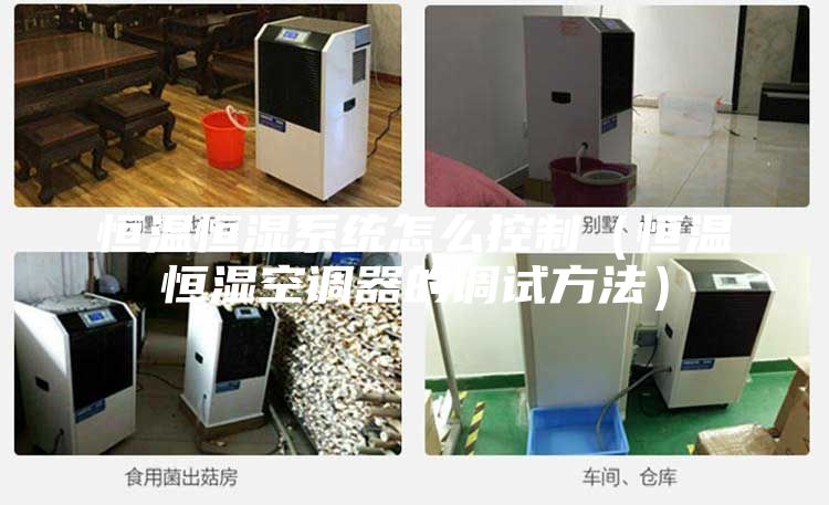 恒溫恒濕系統(tǒng)怎么控制(恒溫恒濕空調(diào)器的調(diào)試方法)