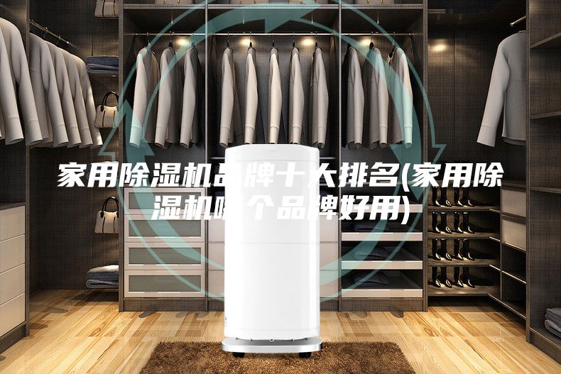 家用除濕機(jī)品牌十大排名(家用除濕機(jī)哪個(gè)品牌好用)