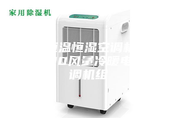 臨沂恒溫恒濕空調(diào)機組  3000風(fēng)量冷暖電輔空調(diào)機組