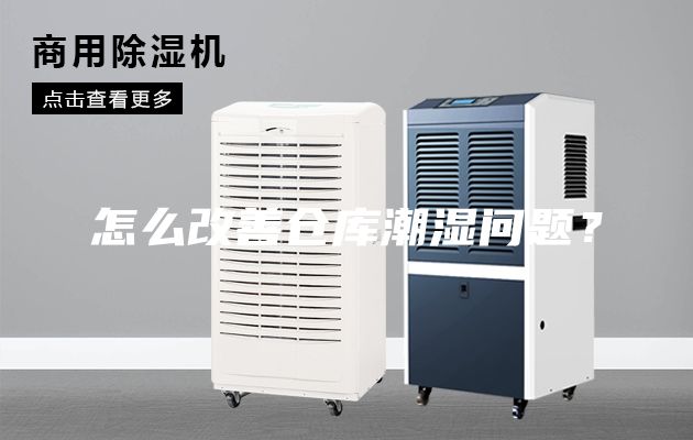 怎么改善倉庫潮濕問題？