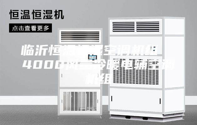 临沂恒温恒湿空调机组  4000风量冷暖电辅空调机组