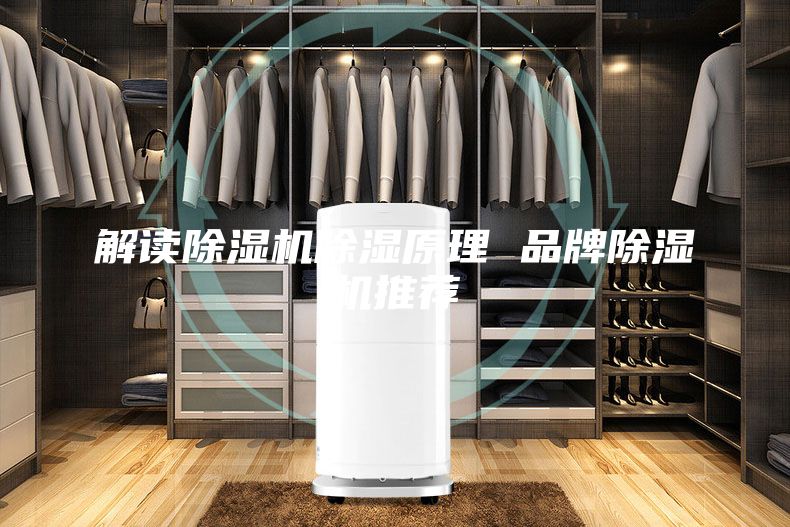 解读除湿机除湿原理 品牌除湿机推荐