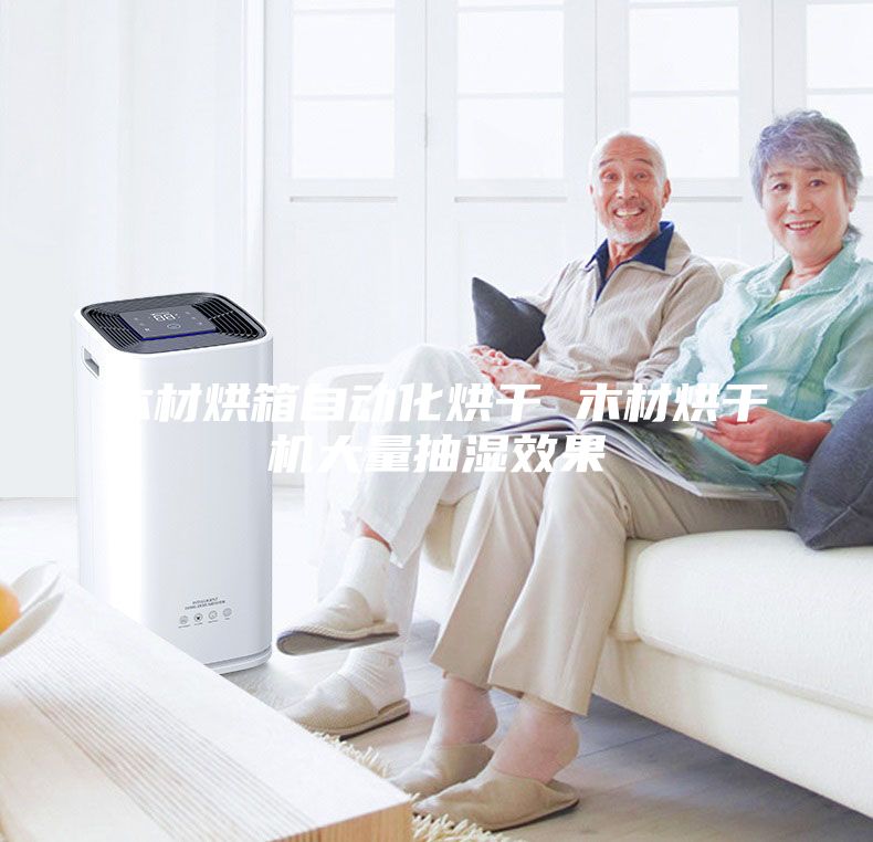 木材烘箱自动化烘干 木材烘干机大量抽湿效果