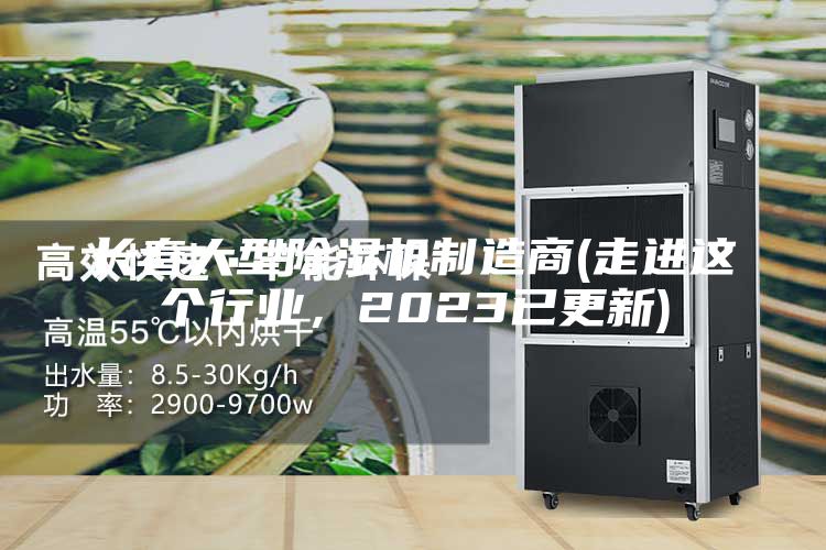 长春大型除湿机制造商(走进这个行业，2023已更新)