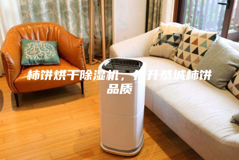 柿饼烘干除湿机，提升恭城柿饼品质