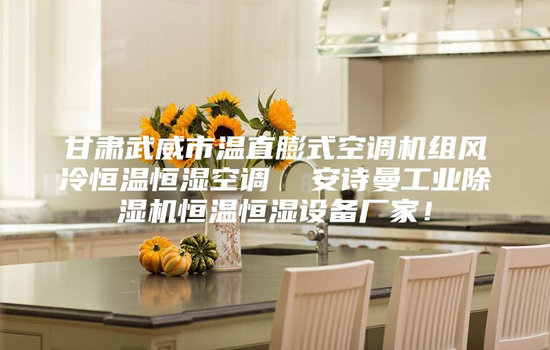 甘肃武威市温直膨式空调机组风冷恒温恒湿空调  安诗曼工业除湿机恒温恒湿设备厂家！