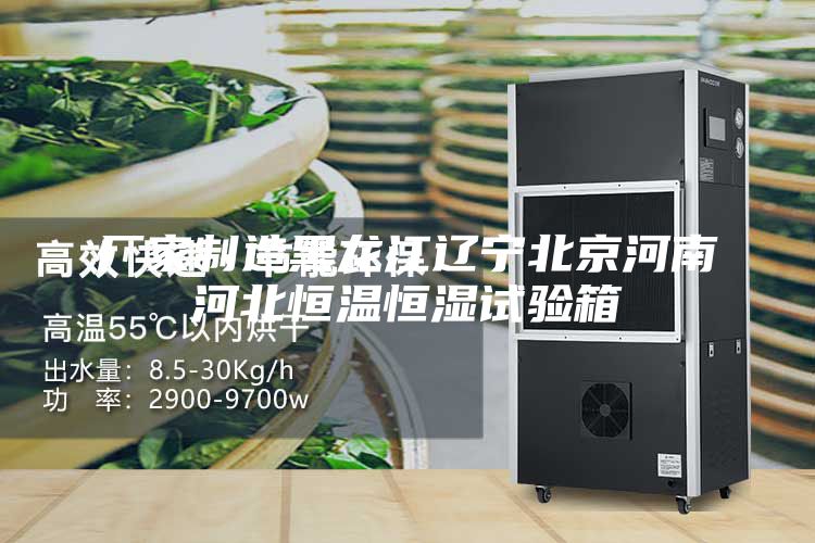 厂家制造黑龙江辽宁北京河南河北恒温恒湿试验箱