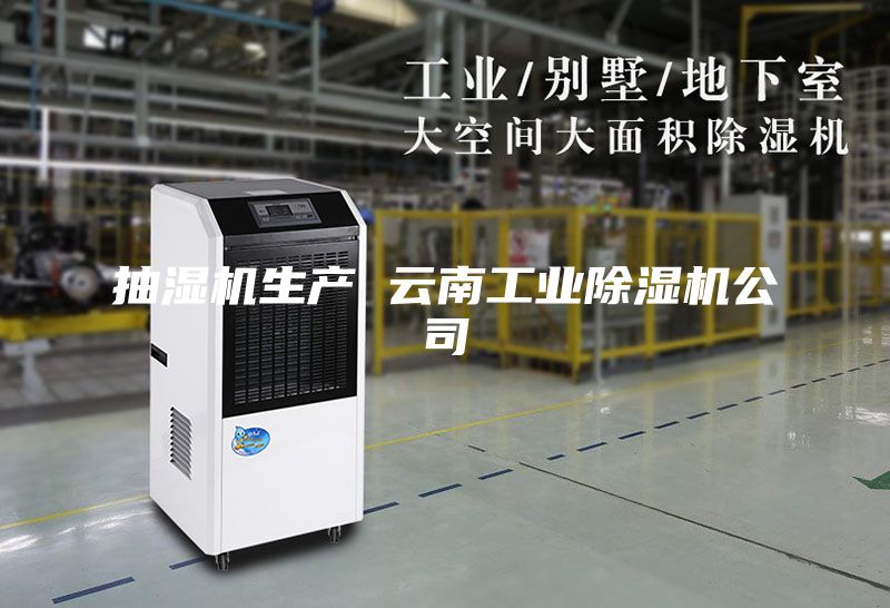 抽湿机生产 云南工业除湿机公司