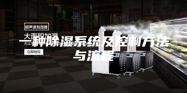 一种除湿系统及控制方法与流程